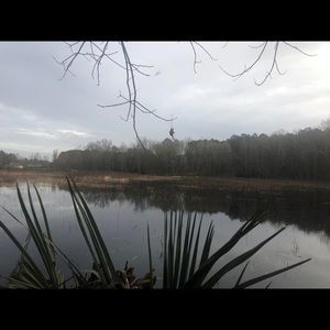 Meet your Posher, Miles